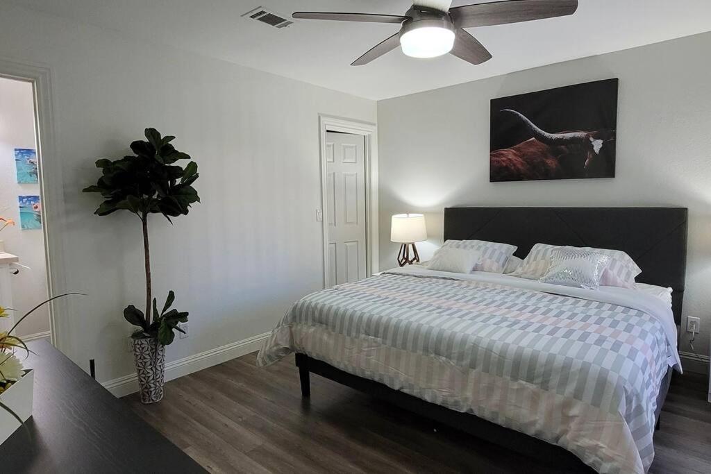 L - Fully Remodeled And Professionally Decorated Las Vegas Exteriör bild